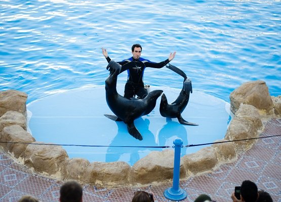 63559Smile_Tours_Adventure_Hurghada_0