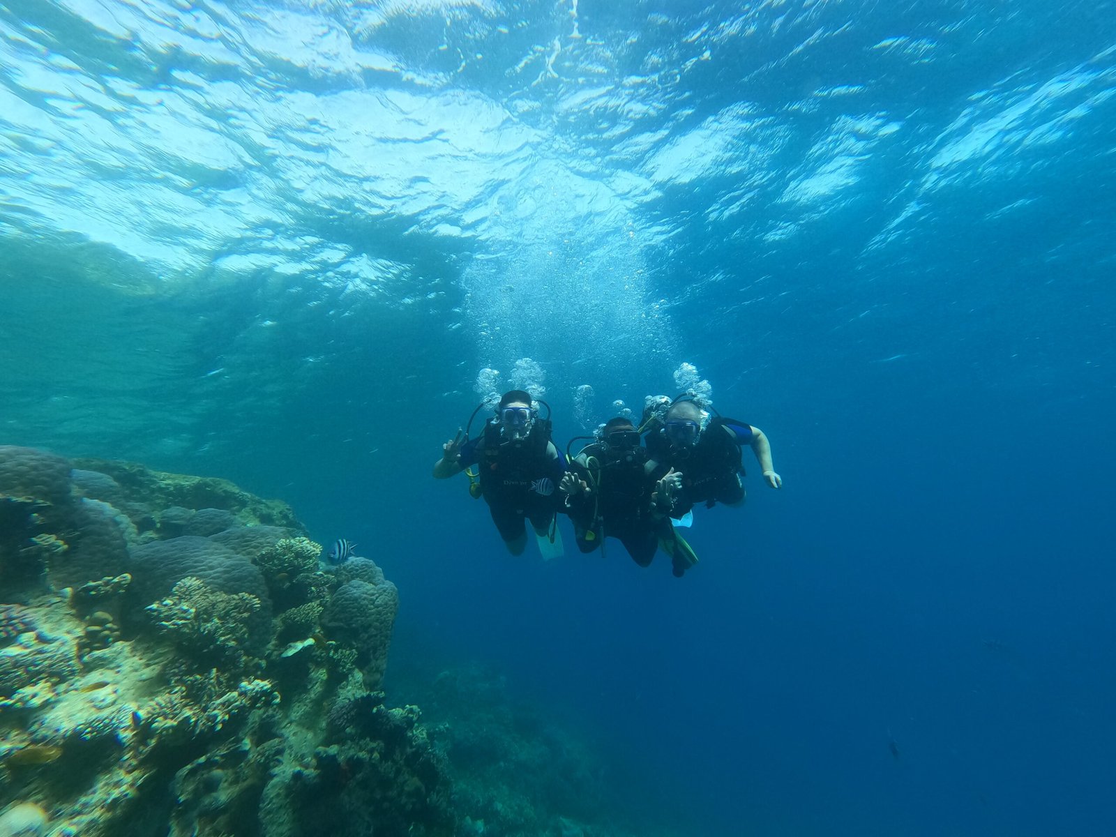 DCIM100GOPROGOPR5731.JPG