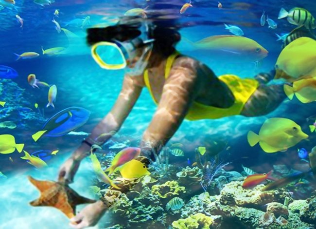 snorkel-trip-tiran-sharm (9)